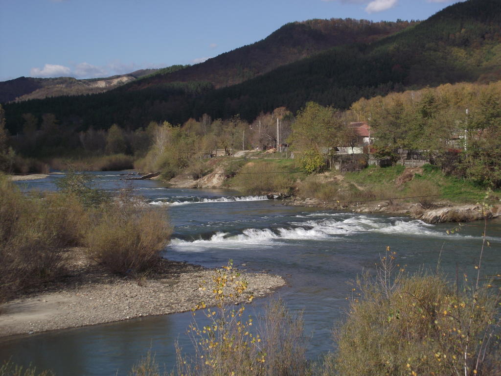 Pensiunea Valea Lupului Valea Lupului (Buzau) Exterior foto