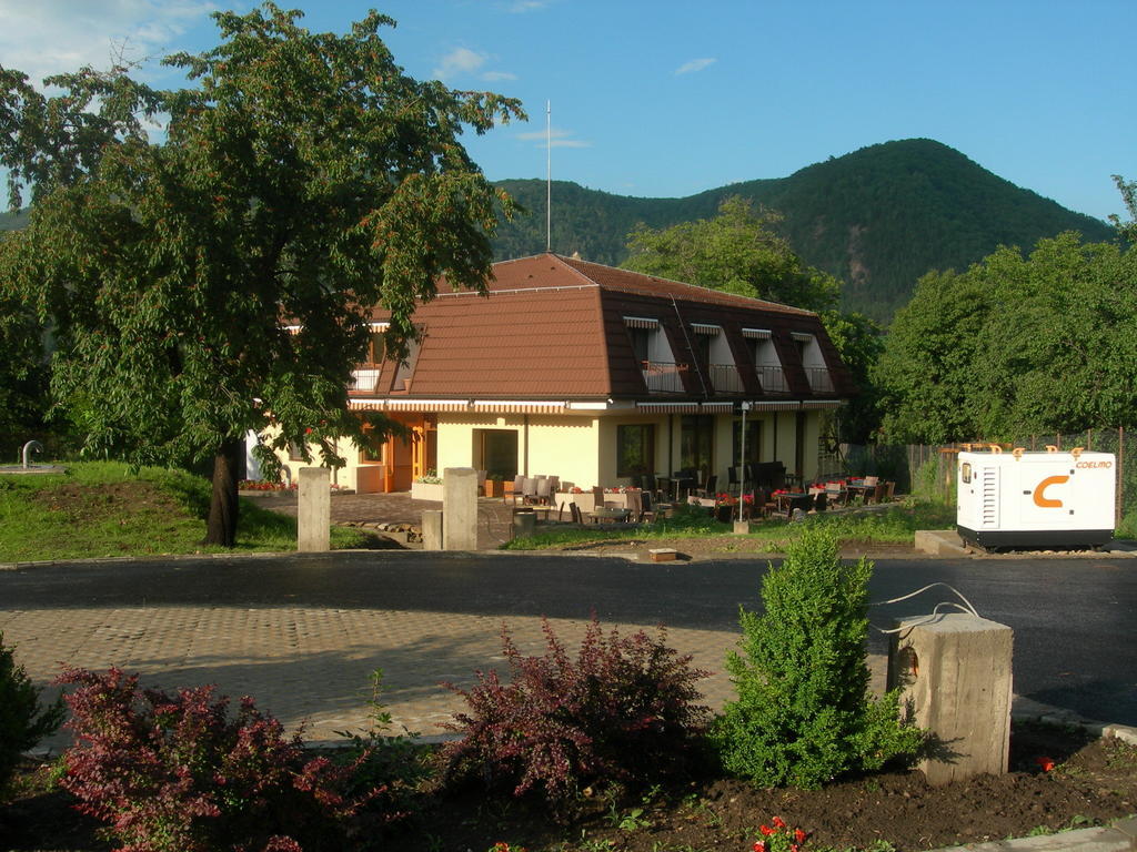 Pensiunea Valea Lupului Valea Lupului (Buzau) Exterior foto